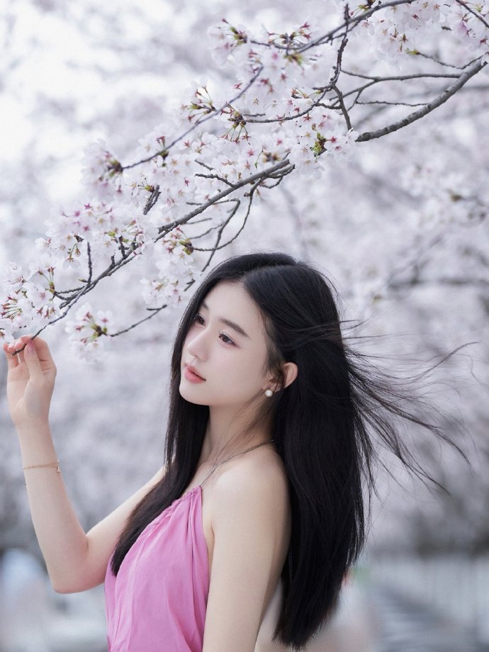 走向共和 封面